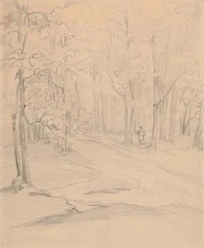 Road In The Woods 2