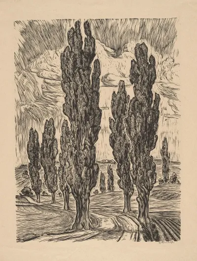 Road Lined With Poplars