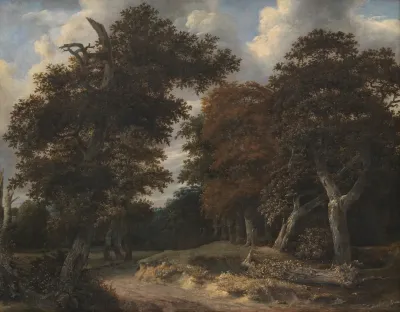 Road Through An Oak Forest