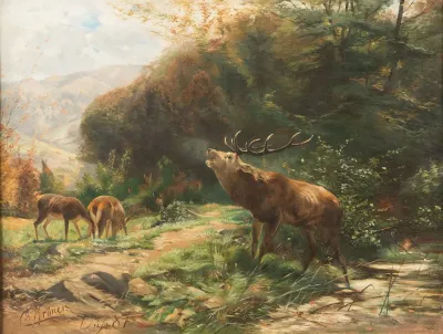 Roaring Stag