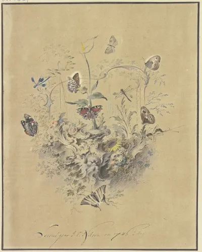 Rocaille Ornament Mit Einer Kalla Und Anderen Blumen Schmetterlingen Wie Perlmutterfalter Pfauenauge Und Segelfalter Sowie Libellen Und Einer Raubmucke