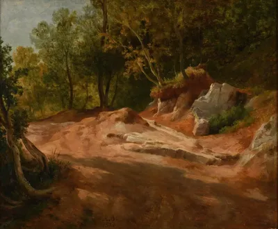 Rochers En Foret