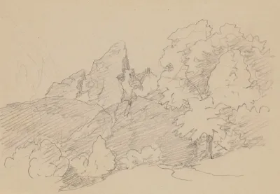 Rocks Among Trees