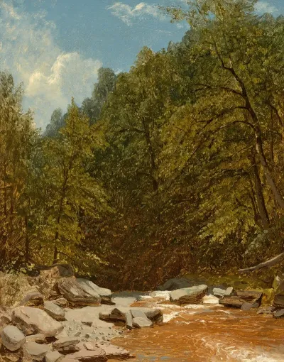 Rocks And Brook In The Catskills