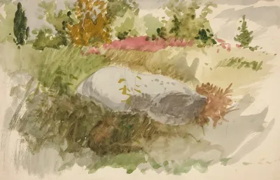 Rocks And Shrubs