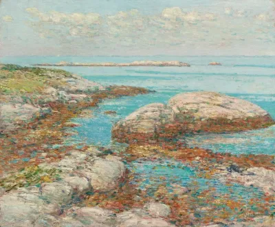 Rocks At Appledore Morning