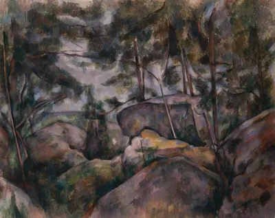 Rocks In The Forest