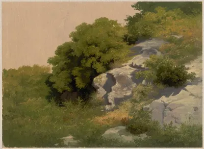 Rocks Overgrown With Lush Vegetation
