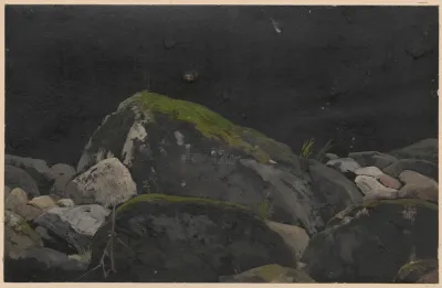 Rocks Overgrown With Moss
