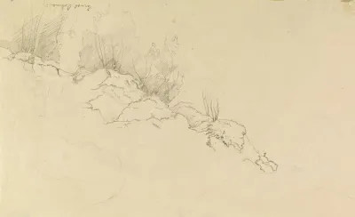Rocky Forest With Strollers