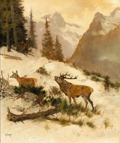 Roe Deer In A Mountain Landscape In Winter