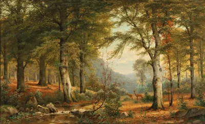 Roe Deer In The Forest 2
