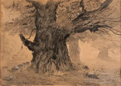 Rogalin Oaks