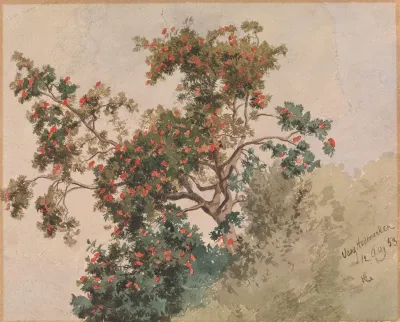 Rognebaertre Vang