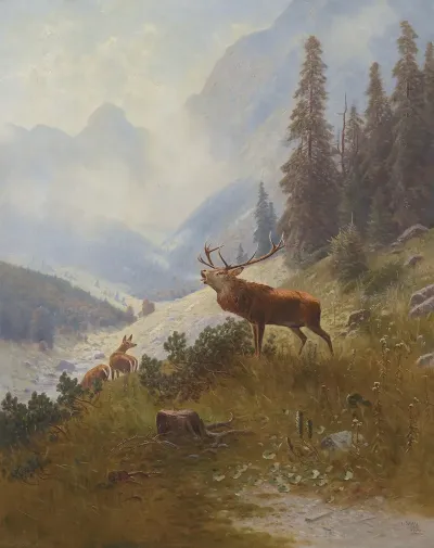 Rohrender Hirsch Im Gebirge