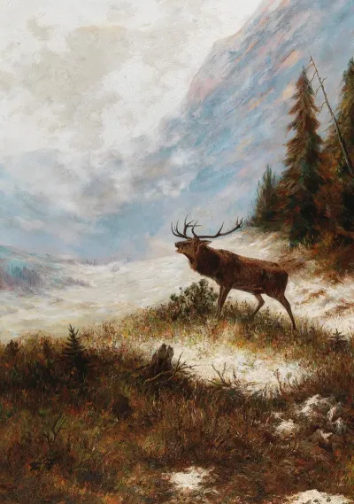 Rohrender Hirsch In Winterlandschaft