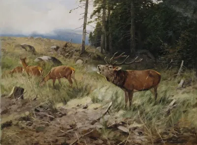 Rohrender Hirsch Und Rehe Am Waldrand