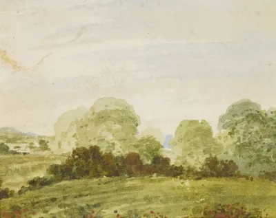 Rolling Landscape With Trees