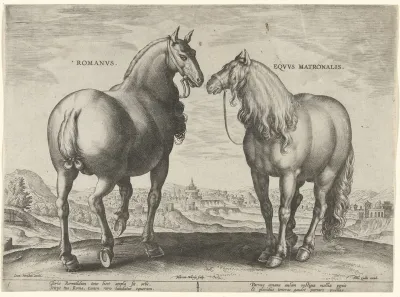 Romanus Equus Matronalis
