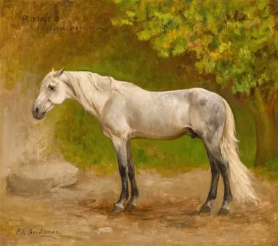 Romeo A Stallion In A Landscape