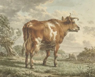 Roodbonte Koe In Een Landschap