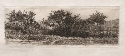 Roofs And Trees
