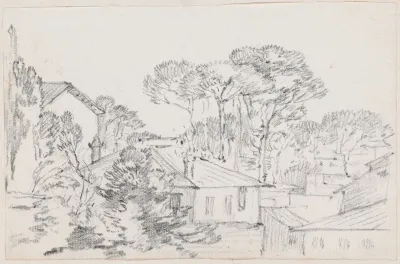 Rooftops And Umbrella Pines