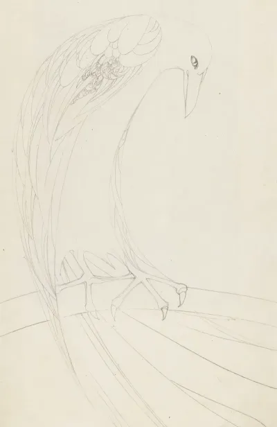 Roofvogel Op Een Tak