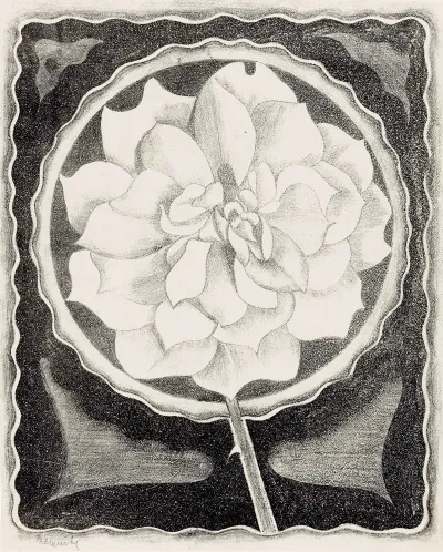 Roos