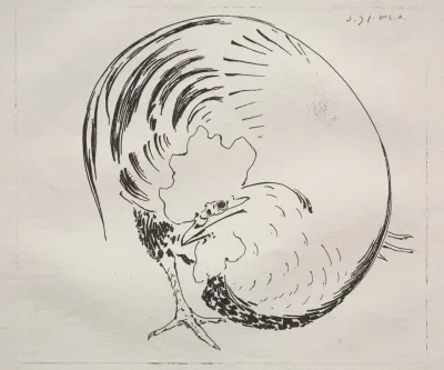 Rooster 5