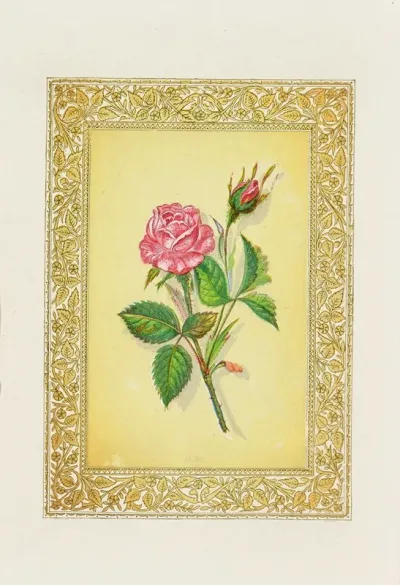 Rose 6