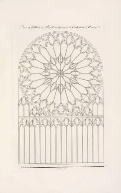 Rose Et Gallerie Du Portail Meridional De La Cathedrale Damiens