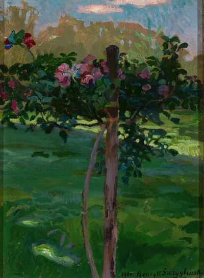 Rose Shrub