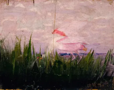 Roseate Spoonbill Study For Book Concealing Coloration In The Animal Kingdom