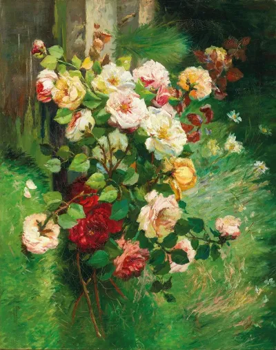 Roses 24