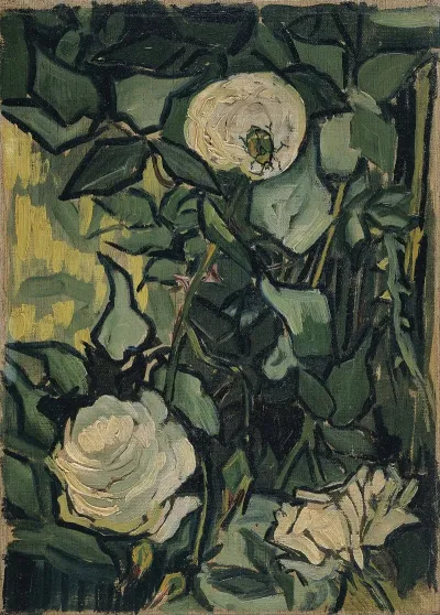 Roses 33