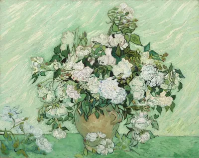 Roses 5