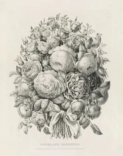 Roses And Rosebuds