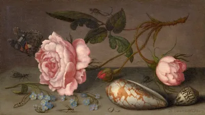 Roses Coquillages Et Insectes Sur Une Table