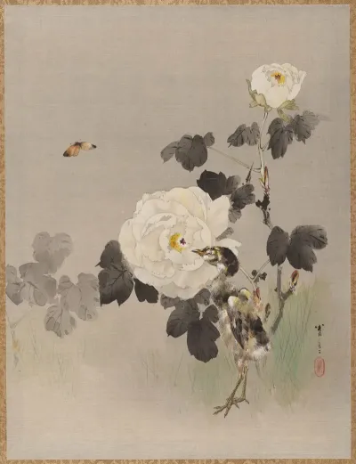 Roses Young Bird And A Butterfly