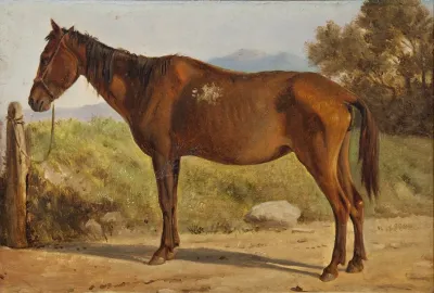 Rosinante Study Of An Old Standing Horse