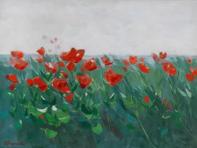 Roter Mohn Am Seeufer