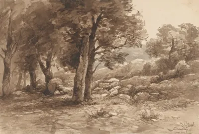 Rotsachtig Landschap Met Bomen