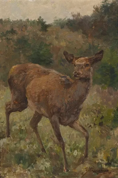 Rotwild 3