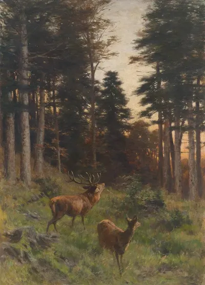 Rotwild In Der Abenddammerung 2
