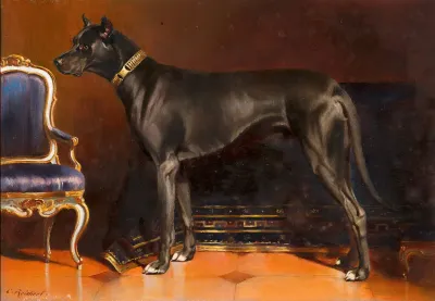 Rude Shadow Hund Von Kaiserin Elisabeth