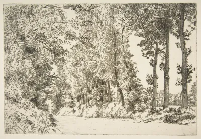 Rue Des Bruyeres A Sevres