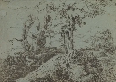 Rugged Moonlit Landscape With A Woman Seated By Gnarled Tree Roots And An Owl