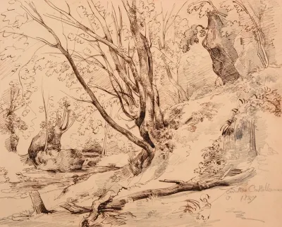 Ruisseau Et Bois A Civita Castellana