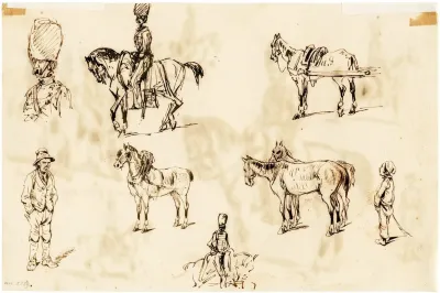 Ruiters Paarden E A